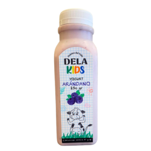 Yogurt Kids de Arándano 250gr Dela