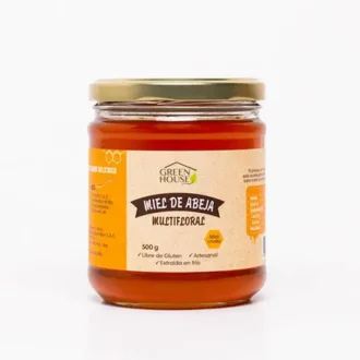 Miel De Abeja Cruda – Frasco – 550 G – Green House