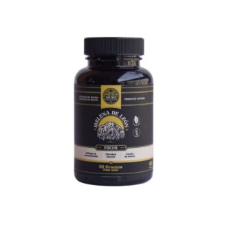 Melena de León en Extracto - Mush Organics